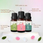AIR-ROMA Aroma Diffuser Oil Combo of 6 (Lemon Grass, Japanese Rose, Madurai Jasmine, Apple Spice, English Ocean and Ging
