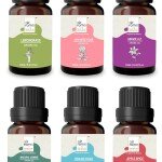 AIR-ROMA Aroma Diffuser Oil Combo of 6 (Lemon Grass, Japanese Rose, Madurai Jasmine, Apple Spice, English Ocean and Ging