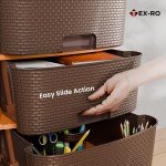 TEX-RO Plastic Modular Drawer Organizer Plastic Drawer Storage Chest Of Drawers Rack Drawer Organizer Storage Box | Larg